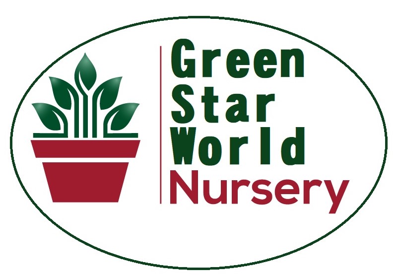 Green Star World Nursery